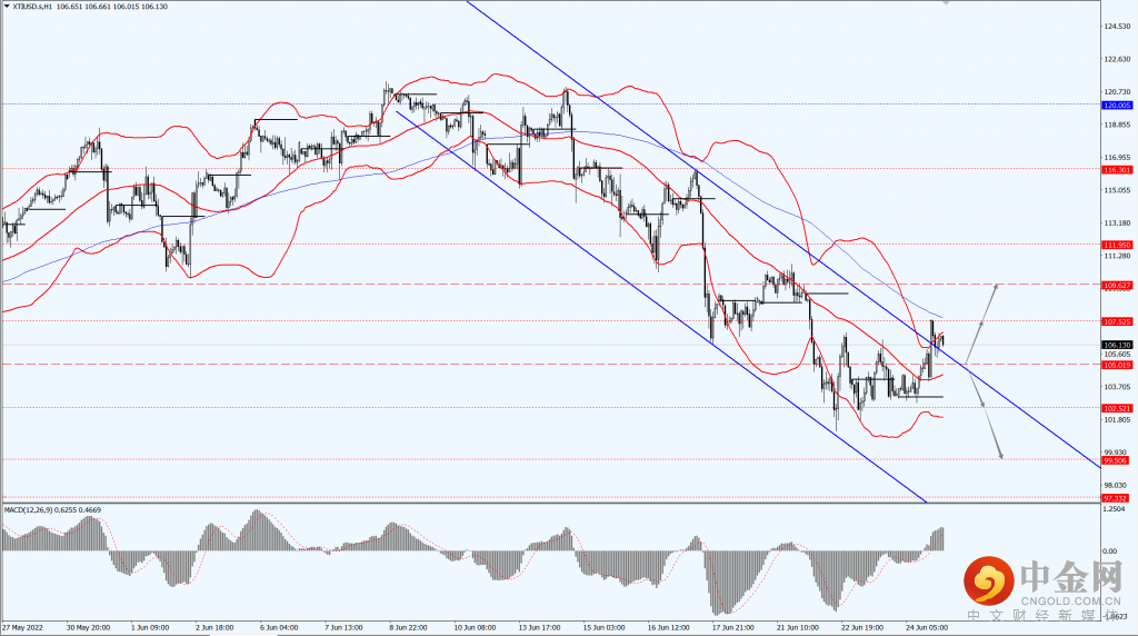 4_每日汇评.png 4_每日汇评.png