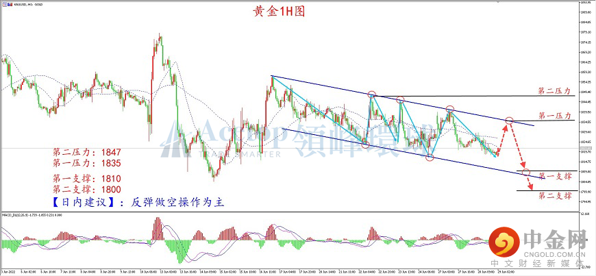 领峰环球-黄金走势图