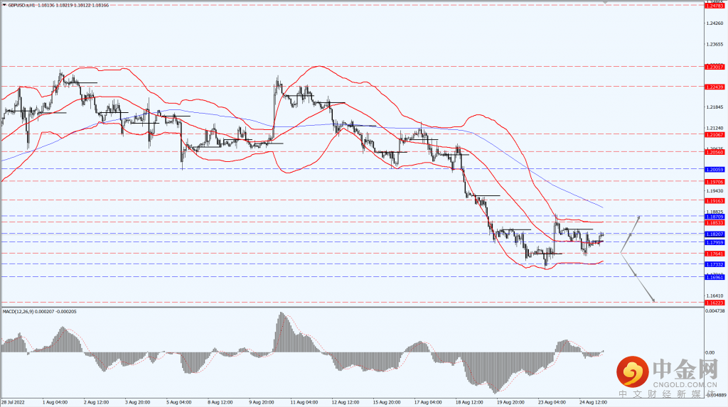 2_每日汇评_25082022.png 2_每日汇评_25082022.png