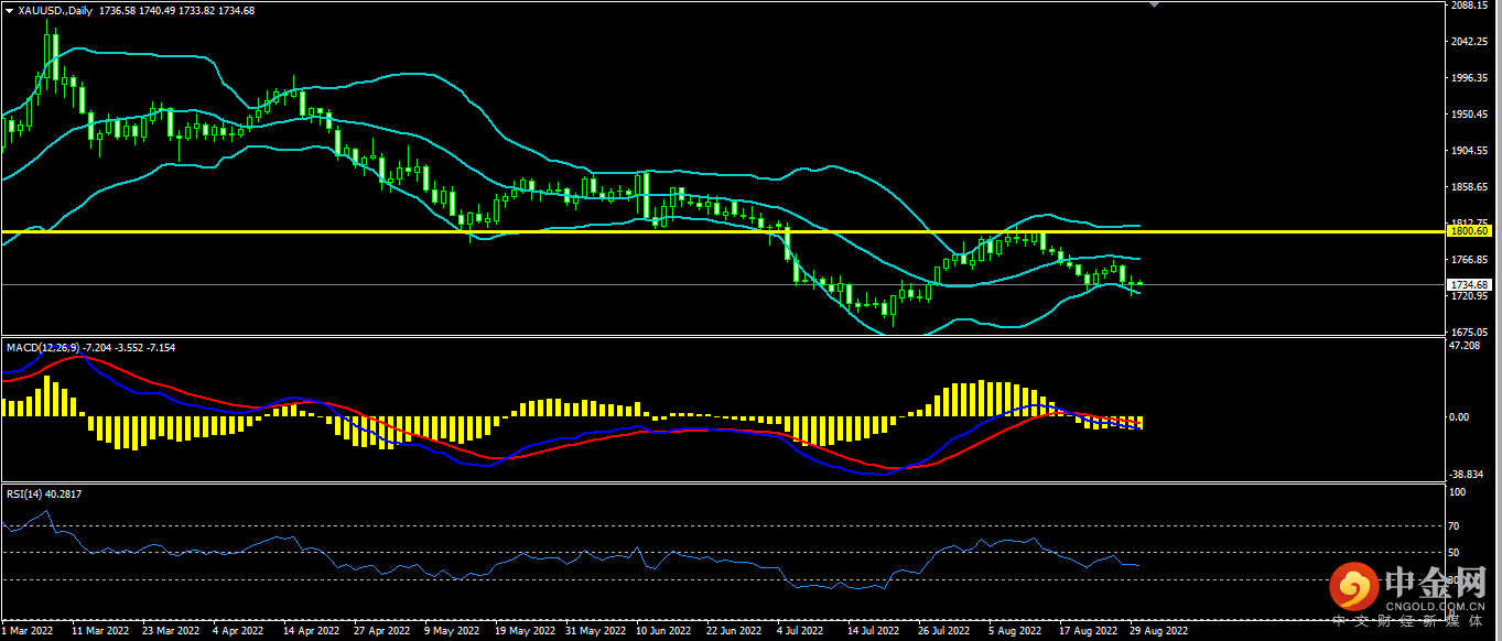 1661839689597927.png 黄金.png