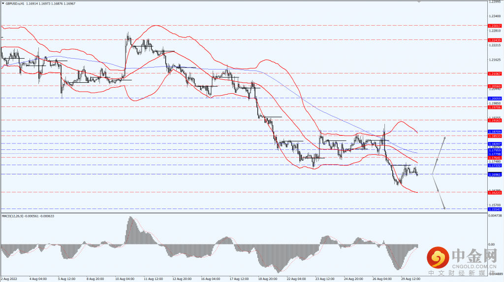 2_每日汇评_30082022.png 2_每日汇评_30082022.png