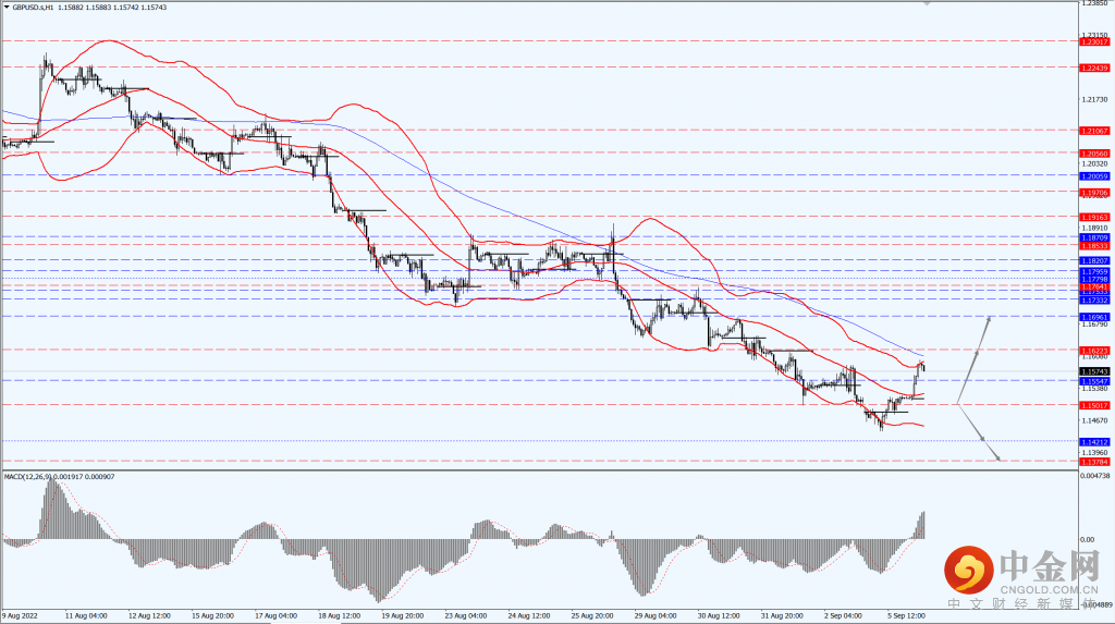 2_每日汇评.png 2_每日汇评.png