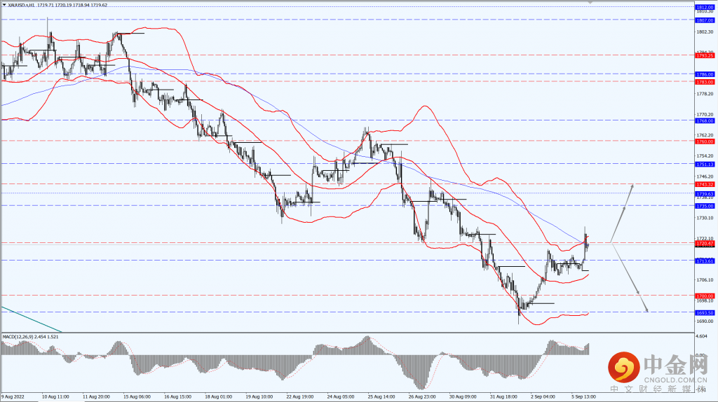 3_每日汇评.png 3_每日汇评.png