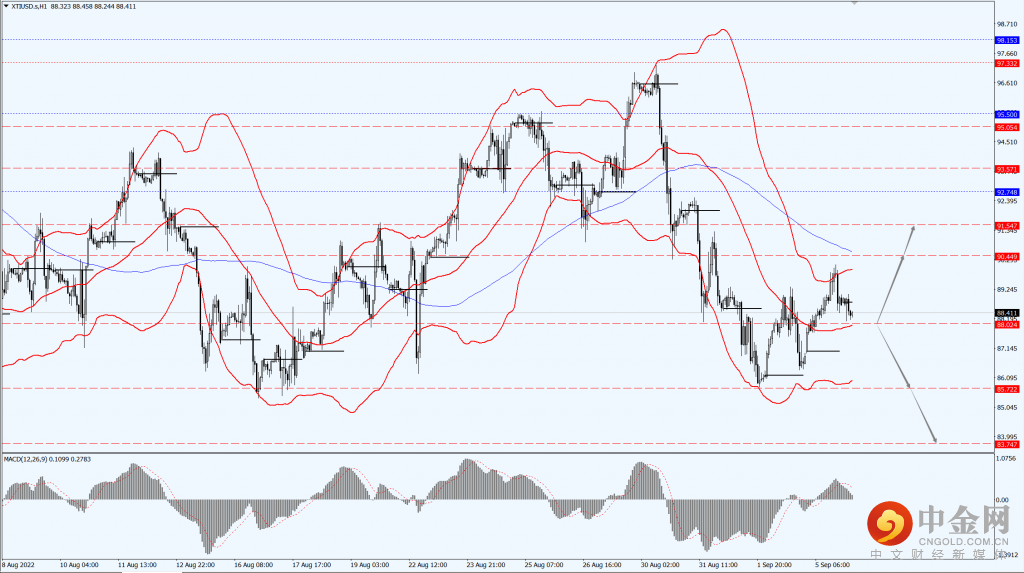 4_每日汇评.png 4_每日汇评.png