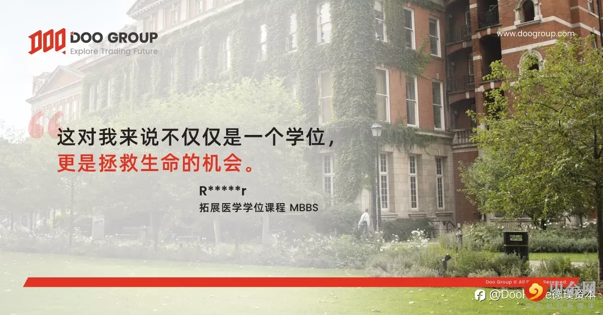 公司动态