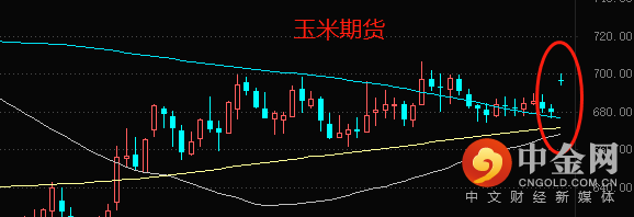 小麦2.png