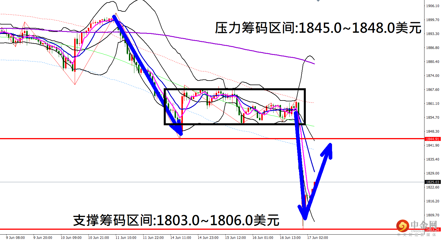 黄金.png