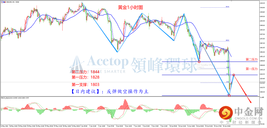 领峰环球-黄金走势图