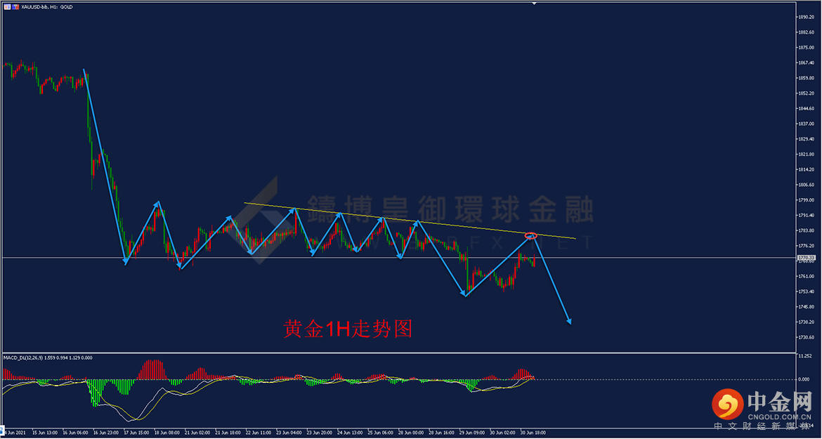 铸博皇御环球金融