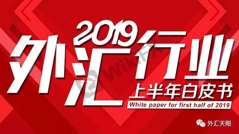 重磅 外汇天眼发布 2019年上半年行业白皮书 外汇天眼