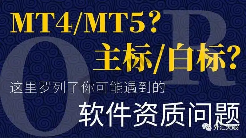 外汇天眼APP内交易商MT4/5鉴定页面截图