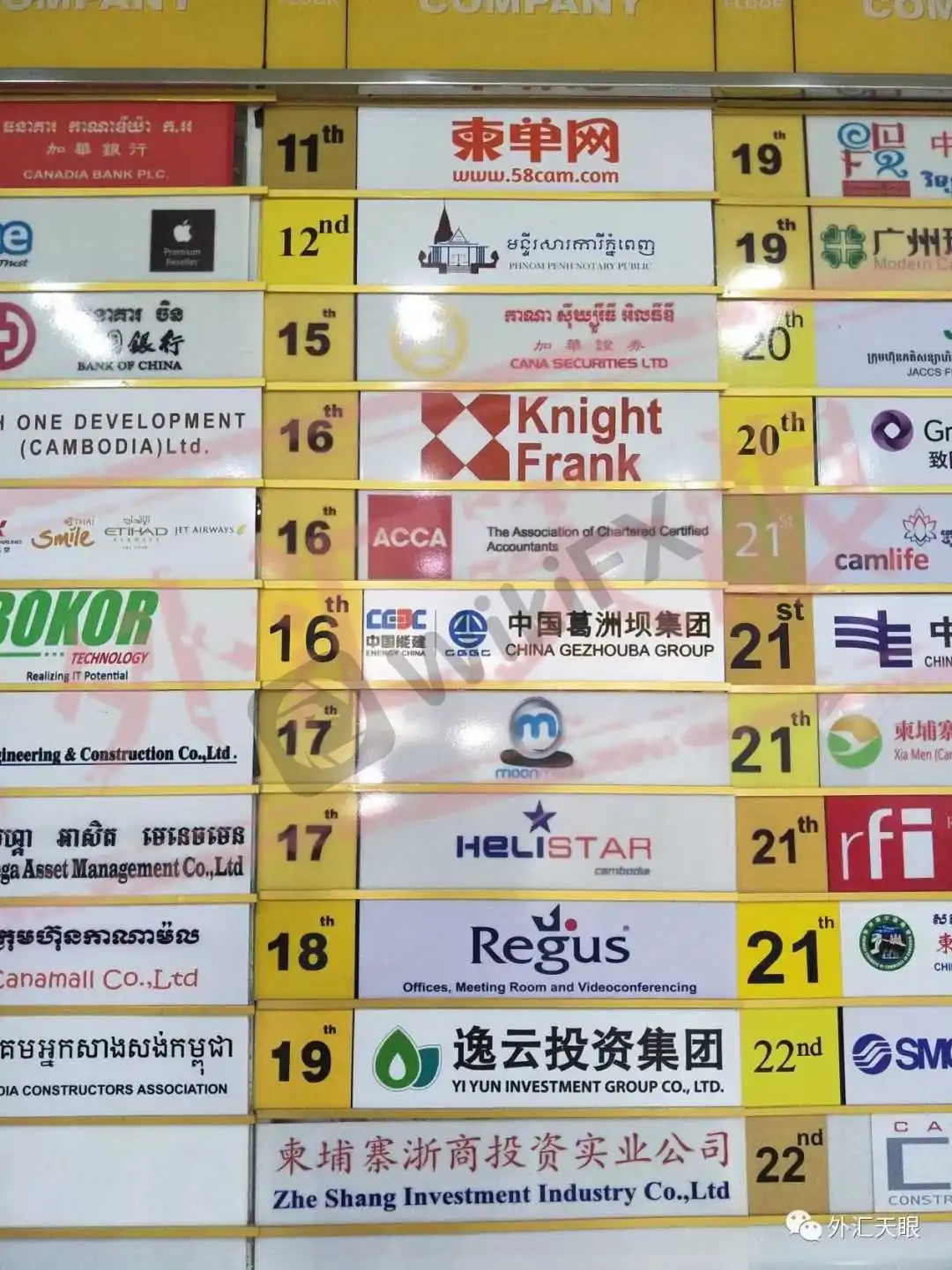 16层概览信息