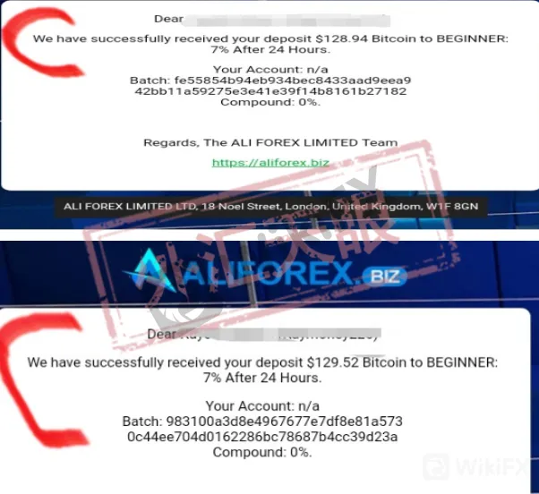 <b>关于ALIFOREX</b>