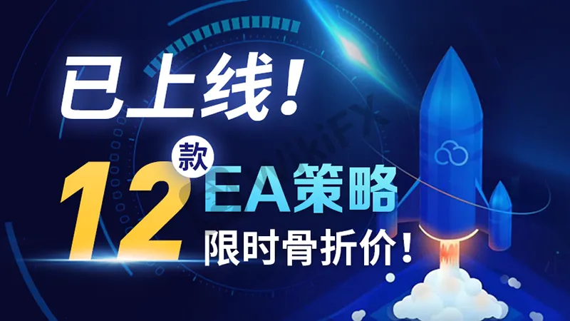 <b>综合型:</b>