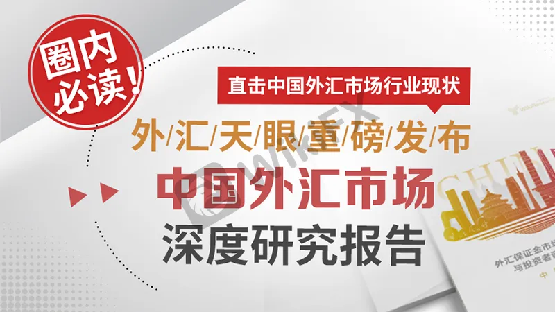 1.1 <b>中国金融市场基本情况概述</b>