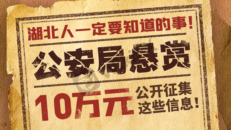 搜索微信号“WikiFX02” 或扫描二维码添加官方客服