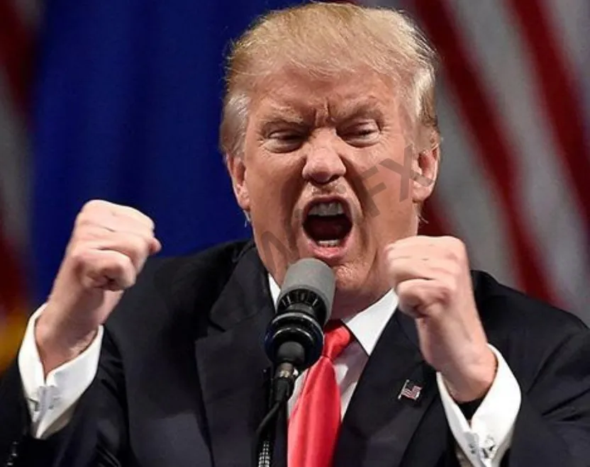 特朗普最新消息 外汇天眼 特朗普最新消息 外汇天眼