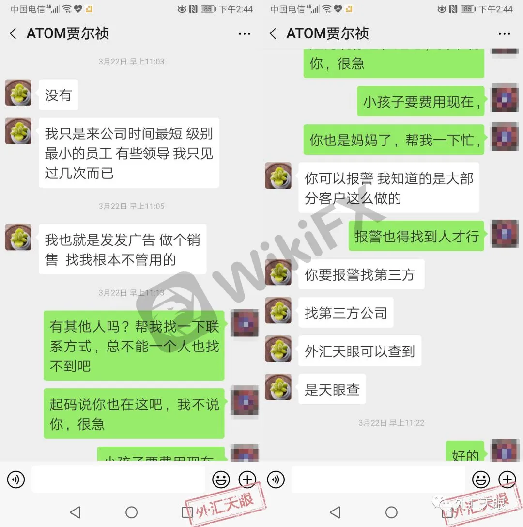 <b>关于ATOM</b>