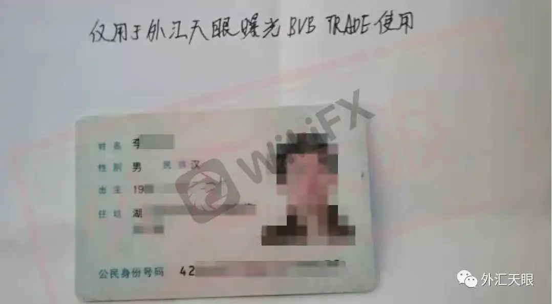 <b>关于BVB TRADE</b>