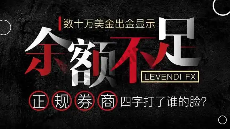<b>关于LEVENDI FX</b>