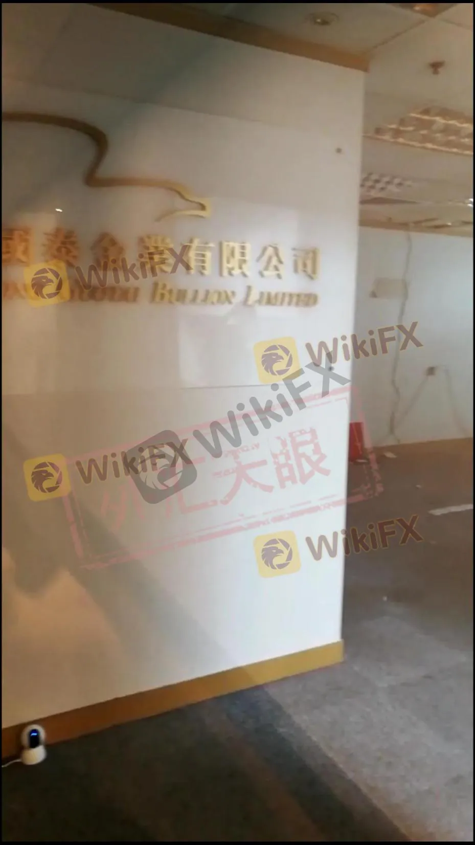 <b>国泰环球</b>
