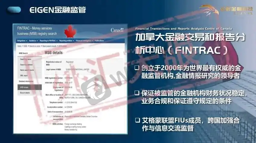 <b>果不其然资金盘”</b>