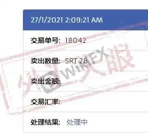 <b>虚伪面具——宣传造势:</b> 图片