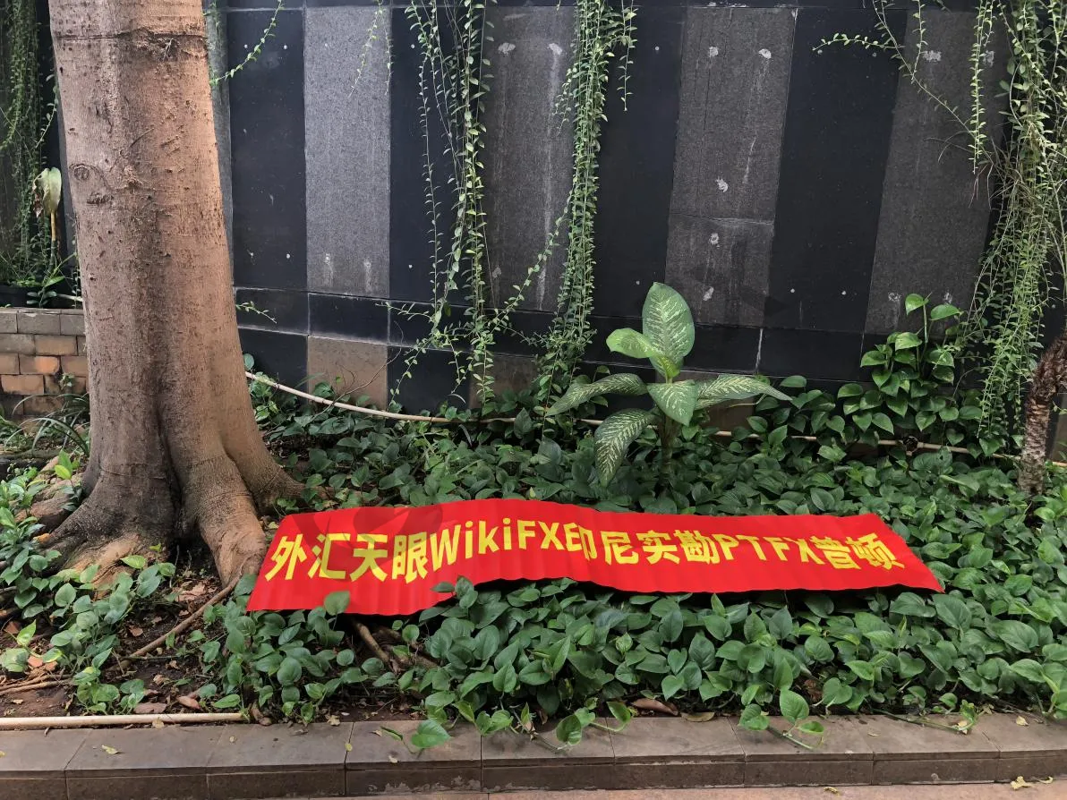 图片8wps图片.jpg 图片8wps图片.jpg
