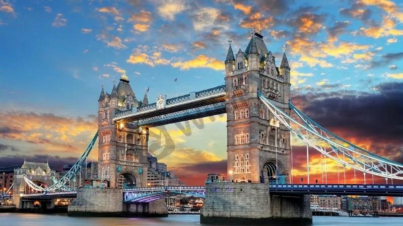 英镑 英镑