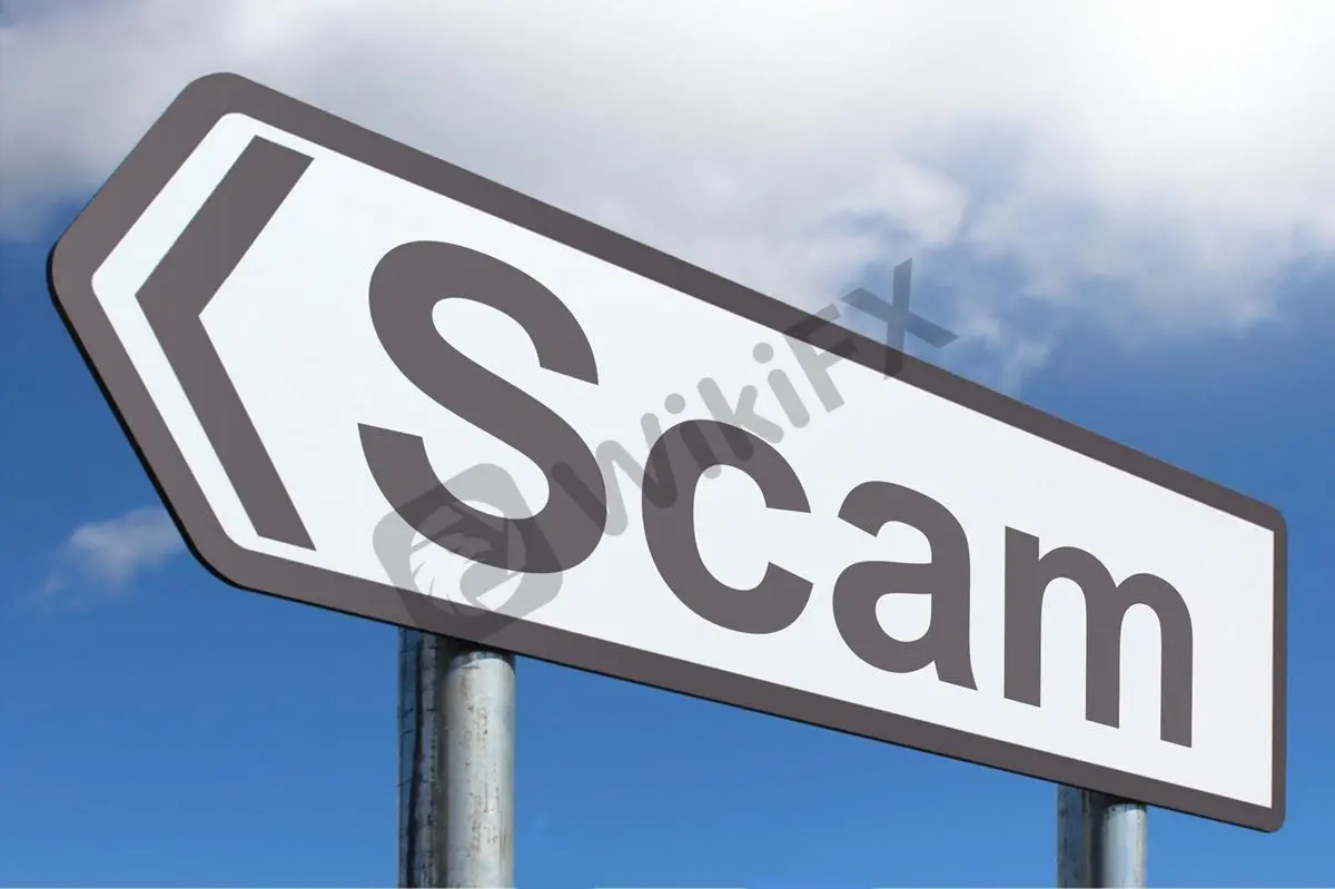 scam.jpg